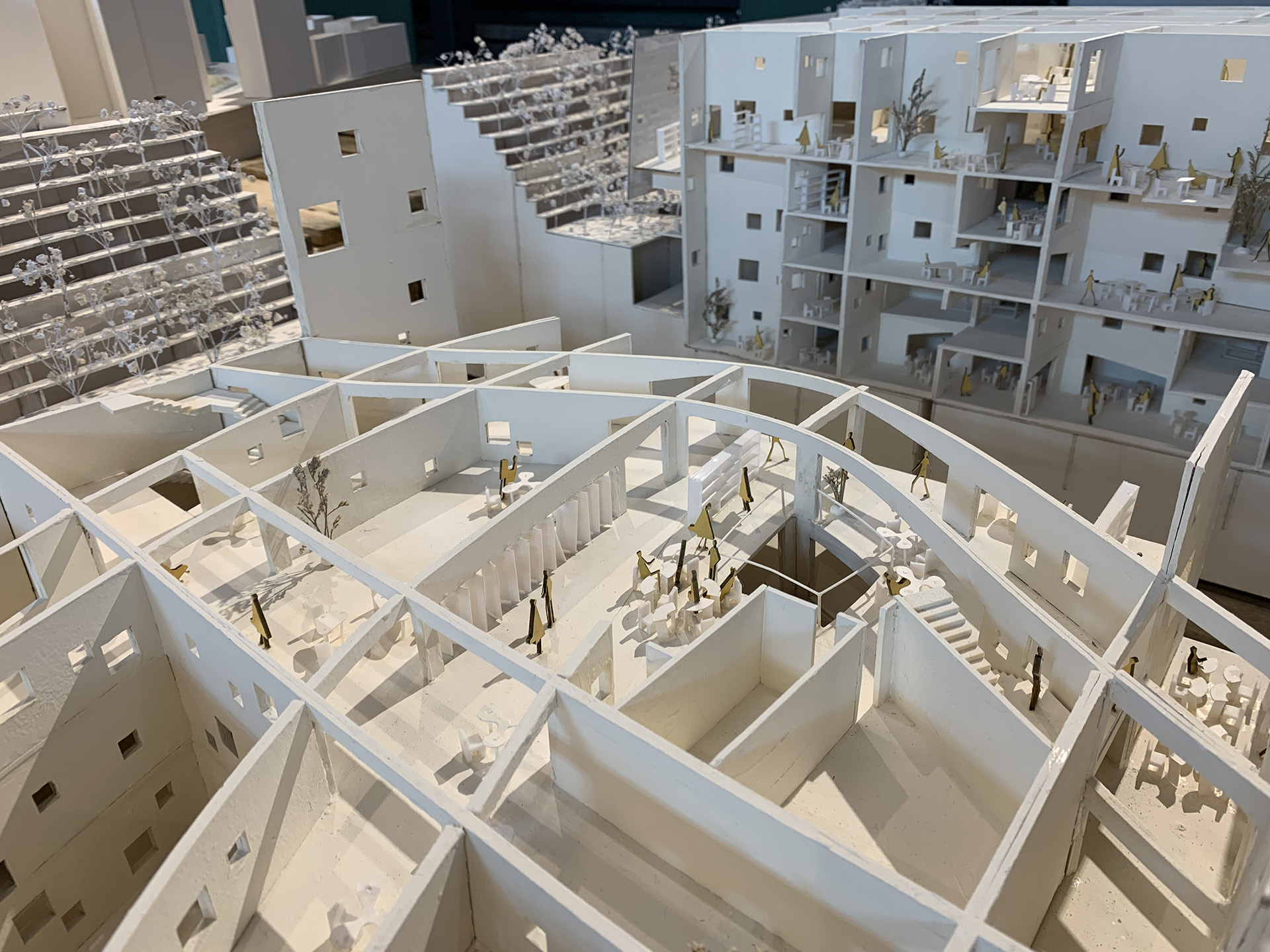 GRADUATION PROJECT DESIGN (FIFTH YEAR) | 建築系